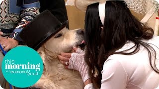 Woman Marries Her Dog Live on This Morning  This M