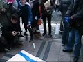 Korea's Anti-Israel Protest: Blood Split on Magen David