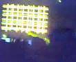 Tiesto Hyd Gig