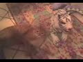 gatto impazzito per un pupazzo di tigre