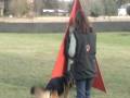 videos de Panzer training