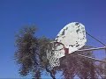 Fergalicious Dunk