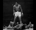 ALI ALI
