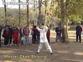 wudang kungfu - dragon form wudang kungfu - dragon form