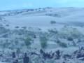DAkAr 2009 ArgentinA - Chile - etapa 5 - Dunas del nihuil( primer camion llegando a nuetra zona)N�5