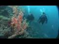 Idyllic Dive Resort in Papua New Guinea