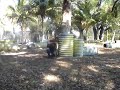 paintball miami luis caiman