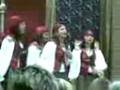 carnaval 2008 alhaurino comparsa femenina sueños del mar