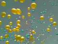 Presdales unload balloons