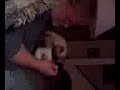 Video from My Phone (1107071911.3g2)