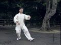 Taijiquan 13 form ???īs son Taijiquan 13 form ???īs son