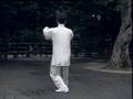 Taijiquan 13 form 詹德生´s son