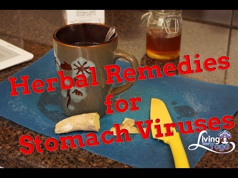 how to rebuild good bacteria in stomach