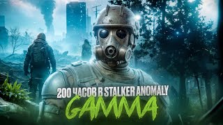 Я провел 200 ЧАСОВ В STALKER ANOMALY GAMMA и ВОТ ЧТО ПОНЯЛ