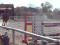 videos de Jumping 4' on my Trakehner
