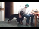 Suzy Fools Rudy.wmv