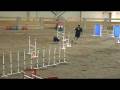 videos de Reveille Capital City Jumpers