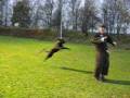 videos de Yaro de Vliegendehollander 15-11-08
