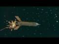 Captain Bucky Teaser Trailer