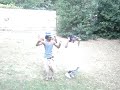 get silly   v i c 