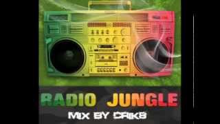 Drum And Bass Ragga Jungle Mix - The Best