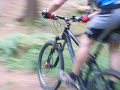Singletrail Wiehengebirge