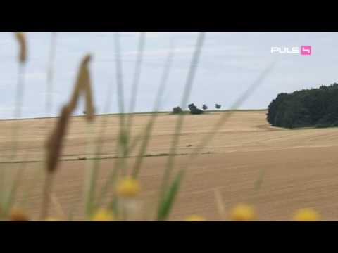 Das Waldviertel