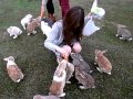Pogledaj Klip