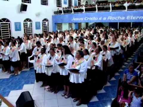 imagem video