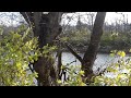 River Report 02.mov