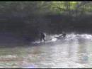 Severn Tidal Bore surfing Compilation