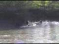 Severn Tidal Bore surfing Compilation