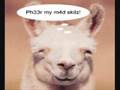 videos de for moses and david