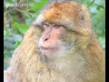 New Scientist video round-up - April 4, 2008
