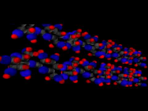 carbohydrates - Segment from the program Biochemistry II: Carbohydrates, Proteins, Lipids, and Nucleic Acids. To purchase this program please visit http://www.greatpacificme...