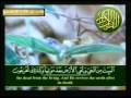 Quran Kareem- Surat Ar-Rum - Yasser Al Dosari