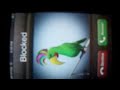 iPhone 3G Video Ringtone Jailbroken QuickPwn
