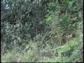 FLORES HILL TOUR (Macabulos, Tarlac-Philippines)