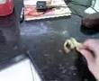 Cat-eating-potato-sk