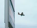 Gander NL - Bomber