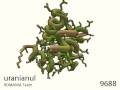 videos de 81: Calcium Ion Binding Protein