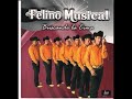 FELINO MUSICAL CORAZON ADOLORIDO