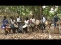 Bangourak� and Sibo Bangoura under a tree in Guin�e