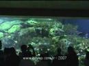 Valencia Oceanarium - Part 2 Valencia Oceanarium - Part 2