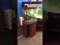 28 Gallon Bow Front Aquarium Stand