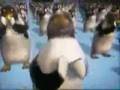 HoroncuPenguenler