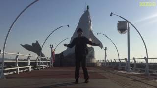 Dandy & Boogie Boog – IN ULSAN