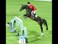 Amazing Horse Jumping