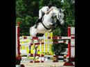 Amazing Horse Jumping