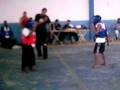 kung fu palma de aço 30